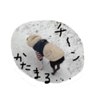 ボステリ ミルキー 日常版（個別スタンプ：8）