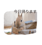 私のための。私用です。（個別スタンプ：11）