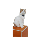 luxy（個別スタンプ：2）