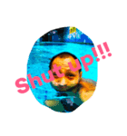 Emotional Man face（個別スタンプ：8）