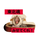 宮城生まれのずんだちゃん（個別スタンプ：3）