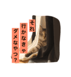 宮城生まれのずんだちゃん（個別スタンプ：4）