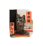 宮城生まれのずんだちゃん（個別スタンプ：5）