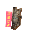 宮城生まれのずんだちゃん（個別スタンプ：8）