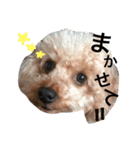 モカちゃんまん（個別スタンプ：7）