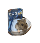 うちのテトくん（個別スタンプ：4）