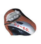 うちのテトくん（個別スタンプ：17）