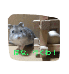 うちのテトくん（個別スタンプ：22）