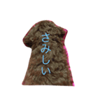 僕は 茶々丸です。（個別スタンプ：2）