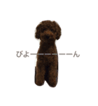 僕は 茶々丸です。（個別スタンプ：10）