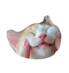 しま すず（個別スタンプ：1）