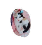 しま すず（個別スタンプ：30）