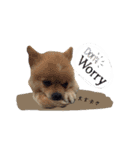 わんこ＆ねこ（個別スタンプ：21）