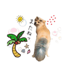 わんこ＆ねこ（個別スタンプ：32）