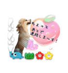 わんこ＆ねこ（個別スタンプ：33）