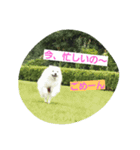 little limechan（個別スタンプ：6）
