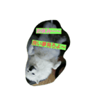 little limechan（個別スタンプ：8）