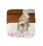 メルくん（個別スタンプ：5）