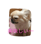 メルくん（個別スタンプ：7）