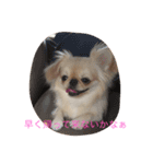 メルくん（個別スタンプ：8）