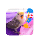 Lovebird milk＆coco（個別スタンプ：1）