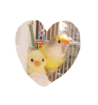 Lovebird milk＆coco（個別スタンプ：2）
