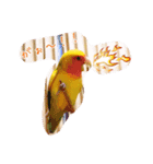 Lovebird milk＆coco（個別スタンプ：5）