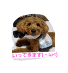 トイプー♡のあたん（個別スタンプ：8）