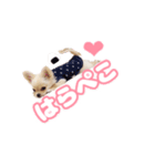 ゆんたん2（個別スタンプ：3）