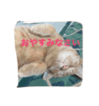 池田家の猫たち①（個別スタンプ：3）