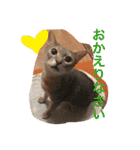 池田家の猫たち①（個別スタンプ：28）