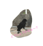 I'd like to fly while coming.（個別スタンプ：1）