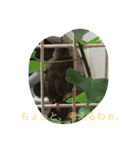 I'd like to fly while coming.（個別スタンプ：6）
