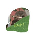 I'd like to fly while coming.（個別スタンプ：8）