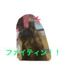 みんちゃんスタンプ②（個別スタンプ：4）