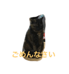 みんちゃんスタンプ②（個別スタンプ：10）