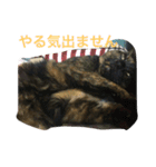 みんちゃんスタンプ②（個別スタンプ：12）