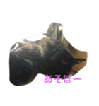 みんちゃんスタンプ②（個別スタンプ：14）