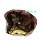 みんちゃんスタンプ②（個別スタンプ：21）