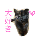 みんちゃんスタンプ②（個別スタンプ：28）