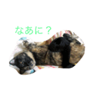 みんちゃんスタンプ②（個別スタンプ：30）