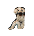 puppu（個別スタンプ：8）