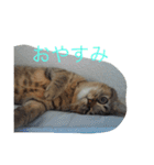林家のもみじ（個別スタンプ：4）