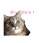 林家のもみじ（個別スタンプ：7）