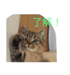 林家のもみじ（個別スタンプ：8）