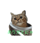林家のもみじ（個別スタンプ：13）