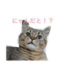 林家のもみじ（個別スタンプ：14）