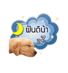 Dogorbear（個別スタンプ：16）