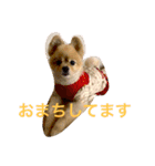 のんたんだよ！（個別スタンプ：5）