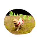 のんたんだよ！（個別スタンプ：7）